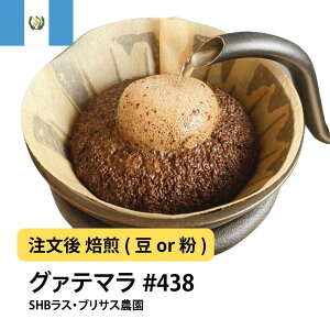 R[q[ O@e}SHB XEuTX_  Iׂx  yDRIP TRIPz  400g 800g 1kg 2kg #438