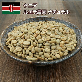 コーヒー 生豆 ケニア ルエラ農園 ナチュラル 送料無料1kg 2kg 5kg #521 DRIP TRIP