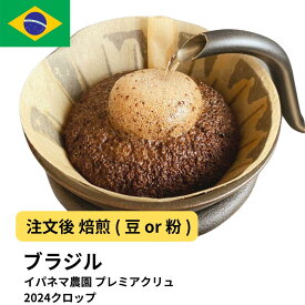 コーヒー豆 ブラジル イパネマ農園 プレミアクリュ 2024クロップ 400g(生豆時) 受注焙煎 選べる焙煎度合い 珈琲 【DRIP TRIP】 送料無料