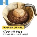 コーヒー豆 グァテマラ グランレイナ SHB ウォッシュド アヤルザ地区 受注焙煎 選べる焙煎度合い 珈琲 【DRIP TRIP】 送料無料 400g 800g 1kg 2kg #434