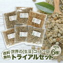 コーヒー生豆 お試しセット 6種 600g 自家焙煎用 未焙煎 珈琲 生豆 飲み比べ 初心者向け サントス モカ マンデリン グァテマラ DRIP TRIP 送料無料