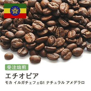 R[q[ G`IsA J CK`FtFG1 i` Af  Iׂx  蓤 R[q[ XyVeBR[q[   400g 800g 1kg 2kgyDRIP TRIPz ACX