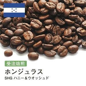 R[q[ zWX SHG nj[EIbVh  Iׂx  蓤 R[q[ XyVeBR[q[   400g 800g 1kg 2kgyDRIP TRIPz ACXR[q[  [