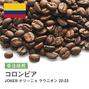 コーヒー豆 コロンビア ナリーニョ ラウニオン ジョーカー 受注焙煎 選べる焙煎度合い 珈琲 珈琲豆 コーヒー スペシャルティコーヒー 粉 送料無料 400g 800g 1kg 2kg【DRIP TRIP】 アイスコーヒー 浅煎 深煎