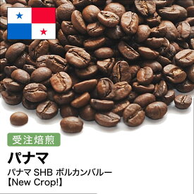 コーヒー豆 パナマSHB ボルカンバルー 受注焙煎 選べる焙煎度合い 珈琲 珈琲豆 コーヒー スペシャルティコーヒー 粉 【DRIP TRIP】 送料無料 400g 800g 1kg 2kg