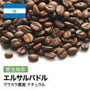 DRIP TRIP コーヒー豆 エルサルバドル マラカラ農園 ナチュラル 受注焙煎 選べる焙煎度合い 珈琲 珈琲豆 コーヒー スペシャルティコーヒー 粉 送料無料 400g 800g 1kg 2kg アイスコーヒー 浅煎 深煎