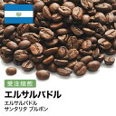 受注焙煎！400g エルサルバドル サンタリタ ブルボン [選べる焙煎度合い] 送料無料 大山珈琲 珈琲 珈琲豆 コーヒー コーヒー豆 スペシャルティコーヒー プレミアムコーヒー 粉 お試し