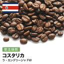 DRIP TRIP 受注焙煎 コスタリカ ラ・カンデリージャ FW [選べる焙煎度合い] 送料無料珈琲 珈琲豆 コーヒー コーヒー豆 スペシャルティコーヒー プレミアムコーヒー 粉 お試し コーヒー粉 アイスコーヒー 浅煎 深煎