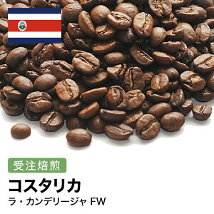 I2kg RX^J EJf[W FW [Iׂx] R[q[  R   ACXR[q[  [