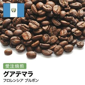 R[q[ OAe} tVA u{  Iׂx  蓤 R[q[ XyVeBR[q[  yDRIP TRIPz  400g 800g 1kg 2kg ACXR[q[  [