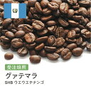 スペシャルティコーヒー お試し グァテマラ SHB ウエウエテナンゴ 受注焙煎 選べる焙煎度合い 送料無料 大山珈琲 珈琲 珈琲豆 コーヒー豆 粉 DRIP TRIP 400g 800g 1kg 2kg