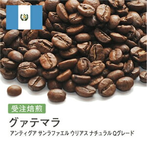 SSΏ R[q[ I400g O@e} AeBOA Tt@G EAX i` QO[h [Iׂx]  R  蓤 R[q[ R[q[ XyV