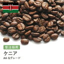 【DRIP TRIP】ケニア AA Qグレード コーヒー豆 受注焙煎 選べる焙煎度合い 送料無料 大山珈琲 珈琲 珈琲豆 コーヒー コーヒー豆 スペシャルティコーヒー 粉 400g 800g 1kg 2kg コーヒー粉