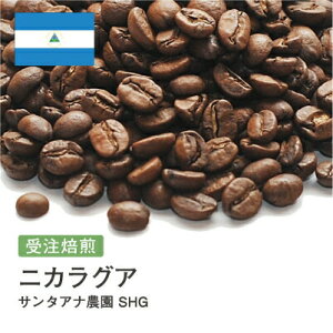 R[q[ jJOA T^Ai_ SHG  Iׂx   蓤 R[q[ XyVeBR[q[  400g 800g 1kg 2kgyDRIP TRIPz