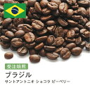 受注焙煎！400g ブラジル サントアントニオ ショコラ ピーベリー [選べる焙煎度合い] 送料無料 大山珈琲 珈琲 珈琲豆 コーヒー コーヒー豆 スペシャルティコーヒー プレミアムコーヒー 粉 お試し