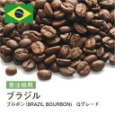 コーヒー豆 ブラジル ブルボン（BRAZIL BOURBON) Qグレード 受注焙煎 選べる焙煎度合い 送料無料 大山珈琲 珈琲 珈琲豆 コーヒー コーヒー豆 スペシャルティコーヒー 粉 400g 800g 1kg 2kg【DRIP TRIP】 コーヒー粉