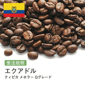 DRIP TRIP エクアドル ティピカ メホラード Qグレード コーヒー豆 受注焙煎 選べる焙煎度合い 送料無料 珈琲 珈琲豆 コーヒー スペシャルティコーヒー 粉 400g 800g 1kg 2kg コーヒー粉 アイスコーヒー 浅煎 深煎