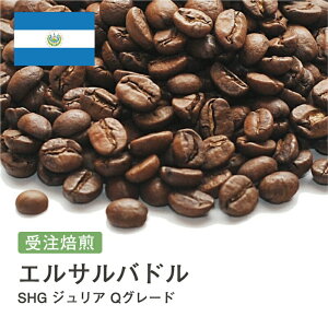 yDRIP TRIPzGTohSHG WA QO[h R[q[  Iׂx   蓤 R[q[ XyVeBR[q[  400g 800g 1kg 2kg ACXR[q[  [