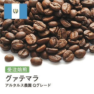 コーヒー豆 グァテマラ アルタルス農園 Qグレード 受注焙煎 選べる焙煎度合い 送料無料 珈琲 珈琲豆 コーヒー スペシャルティコーヒー 粉 400g 800g 1kg 2kg【DRIP TRIP】 アイスコーヒー 浅煎 深煎