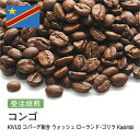 DRIP TRIP 受注焙煎 コンゴ KIVU3 コパーデ組合 ウォッシュ ローランド・ゴリラ Kasimbi [選べる焙煎度合い] 送料無料珈琲 珈琲豆 コーヒー コーヒー豆 スペシャルティコーヒー プレミアムコーヒー 粉 お試し コーヒー粉