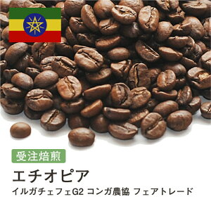 R[q[ G`IsA CK`FtFG2 RK_ tFAg[h  Iׂx   蓤 R[q[ XyVeBR[q[  400g 800g 1kg 2kgyDRIP TRIPz ACX