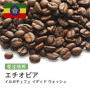 DRIP TRIP コーヒー豆 エチオピア イルガチェフェ イディド ウォッシュ 受注焙煎 選べる焙煎度合い 珈琲 珈琲豆 コーヒー スペシャルティコーヒー 粉 送料無料 400g 800g 1kg 2kg コーヒー粉 アイスコーヒー 浅煎 深煎
