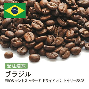 R[q[ uW EROS TgX Z[h hCh I gD[  Iׂx  蓤 R[q[ XyVeBR[q[  yDRIP TRIPz  400g 800g 1kg 2kg ACX