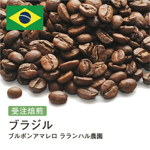 R[q[ uW u{A} n_  Iׂx  蓤 R[q[ XyVeBR[q[  yDRIP TRIPz  400g 800g 1kg 2kg ACXR[q[ 