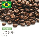 DRIP TRIP コーヒー豆 ブラジル サントス ニブラ 受注焙煎 選べる焙煎度合い 珈琲 珈琲豆 コーヒー スペシャルティコーヒー 粉 送料無料 400g 800g 1kg 2kg アイスコーヒー 浅煎 深煎