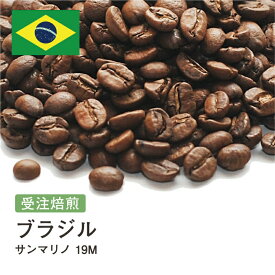 SS対象！受注焙煎！400g ブラジル サンマリノ 18M [選べる焙煎度合い] 送料無料 大山珈琲 珈琲 珈琲豆 コーヒー コーヒー豆 スペシャルティコーヒー プレミアムコーヒー 粉 お試し