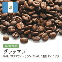 DRIP TRIP コーヒー豆 グアテマラ SHB ソロラ アティトゥラン パンポヒラ農園 受注焙煎 選べる焙煎度合い 珈琲 珈琲豆 コーヒー スペシャルティコーヒー 粉 送料無料 400g 800g 1kg 2kg アイスコーヒー 浅煎 深煎