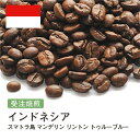 コーヒー豆 インドネシア TRUE BLUE スマトラ マンデリン リントン 受注焙煎 選べる焙煎度合い 珈琲 珈琲豆 コーヒー スペシャルティコーヒー 粉 送料無料 400g 800g 1kg 2kg【DRIP TRIP】