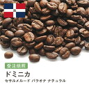 DRIP TRIP コーヒー豆 ドミニカ セサルメルード バラオナ ナチュラル 受注焙煎 選べる焙煎度合い 珈琲 珈琲豆 コーヒー スペシャルティコーヒー 粉 送料無料 400g 800g 1kg 2kg コーヒー粉 アイスコーヒー 浅煎 深煎