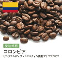 DRIP TRIP コーヒー豆 コロンビア ピンクブルボン ファンマルティン農園 アナエアロビコ 受注焙煎 選べる焙煎度合い 珈琲 珈琲豆 コーヒー スペシャルティコーヒー 粉 送料無料 400g 800g 1kg 2kg アイスコーヒー 浅煎 深煎