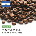 コーヒー豆 エルサルバドル サンタアナ サンタマリア農園 受注焙煎 選べる焙煎度合い 珈琲 珈琲豆 コーヒー スペシャルティコーヒー 粉 送料無料 400g 800g 1kg 2kg【DRIP TRIP】