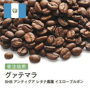 R[q[ OAe} SHB AeBOA ^i_ CG[u{  Iׂx  蓤 R[q[ XyVeBR[q[   400g 800g 1kg 2kgyDRIP TRIPz AC