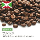 DRIP TRIP コーヒー豆 ブルンジ キビンゴ・ウォッシングステーション ハニー 受注焙煎 選べる焙煎度合い 珈琲 珈琲豆 コーヒー スペシャルティコーヒー 粉 送料無料 400g 800g 1kg 2kg アイスコーヒー 浅煎 深煎