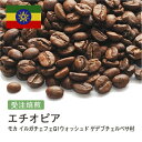 DRIP TRIP 受注焙煎 エチオピア モカ イルガチェフェG1ウォッシュド ゲデブチェルベサ村 [選べる焙煎度合い] 送料無料珈琲 珈琲豆 コーヒー コーヒー豆 スペシャルティコーヒー プレミアムコーヒー 粉 お試し コーヒー粉