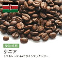 コーヒー豆 ケニア トマトレッド AAガタイシファクトリー 受注焙煎 選べる焙煎度合い 珈琲 珈琲豆 コーヒー スペシャルティコーヒー 粉 送料無料 400g 800g 1kg 2kg【DRIP TRIP】 アイスコーヒー 浅煎 深煎