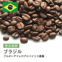 コーヒー豆 ブラジル ブルボンアマレロアルコイリス農園 受注焙煎 選べる焙煎度合い 珈琲 珈琲豆 コーヒー スペシャルティコーヒー 粉 送料無料 400g 800g 1kg 2kg【DRIP TRIP】 アイスコーヒー 浅煎 深煎