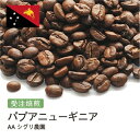 コーヒー豆 パプアニューギニア AA シグリ農園 受注焙煎 選べる焙煎度合い 珈琲 珈琲豆 コーヒー スペシャルティコーヒー 粉 送料無料 400g 800g 1kg 2kg【DRIP TRIP】