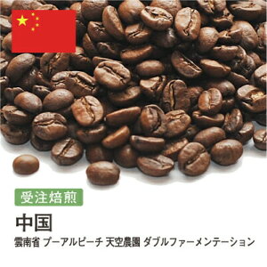 R[q[ _ v[As[` V_ _ut@[e[V  Iׂx  蓤 R[q[ XyVeBR[q[  yDRIP TRIPz  400g 800g 1kg 2kg A