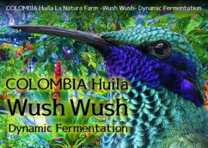 R[q[ RrA EC  i`_ Wush Wush _Ci~bNt@[e[V  Iׂx  蓤 R[q[ XyVeBR[q[   400g 800g 1kg