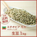コーヒー生豆 1kg モカ イルガチャフェ G2 エチオピア [ニュークロップ] 送料無料 大山珈琲