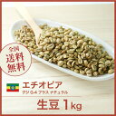 コーヒー生豆 1kg モカ グジ G4 プラス ナチュラル エチオピア 送料無料 大山珈琲