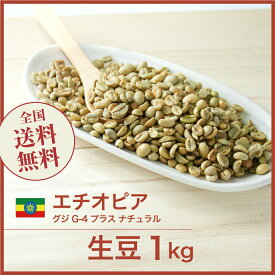 コーヒー 生豆 モカ グジ G4 プラス ナチュラル エチオピア 珈琲 スペシャルティ 送料無料【DRIP TRIP】1kg 2kg 5kg 10kg