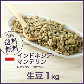 コーヒー生豆 1kg マンデリン ロングベリー ウオッシュ インドネシア 送料無料 大山珈琲
