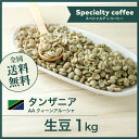 コーヒー生豆 1kg タンザニア AA クィーンアルーシャ 送料無料 大山珈琲