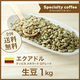 コーヒー生豆 1kg エクアドル ティピカ メホラード Qグレード 送料無料 大山珈琲