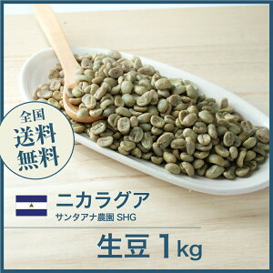 生豆コーヒー ニカラグア サンタアナ農園 SHG 珈琲 スペシャルティ 送料無料【DRIP TRIP】1kg 2kg 5kg 10kg